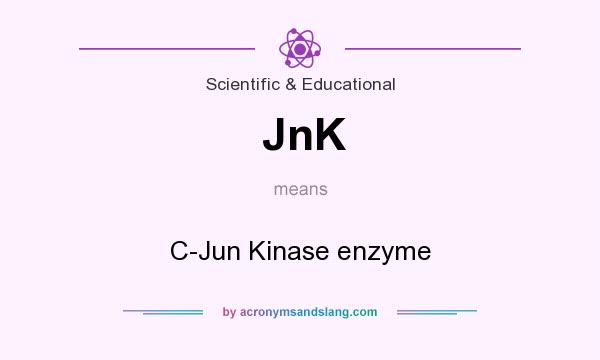What does JnK mean? It stands for C-Jun Kinase enzyme