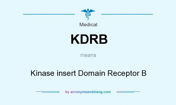 What does KDRB mean? It stands for Kinase insert Domain Receptor B
