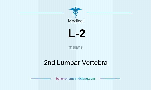What does L-2 mean? It stands for 2nd Lumbar Vertebra