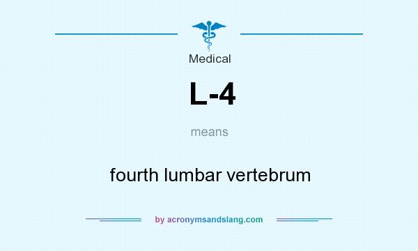 What does L-4 mean? It stands for fourth lumbar vertebrum