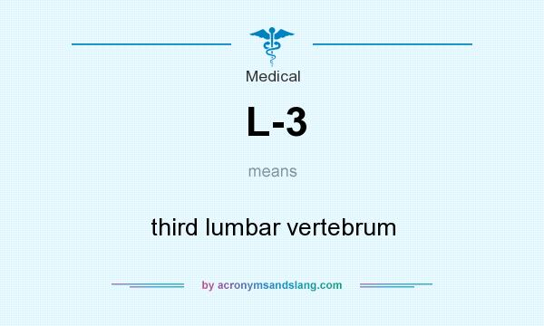 What does L-3 mean? It stands for third lumbar vertebrum