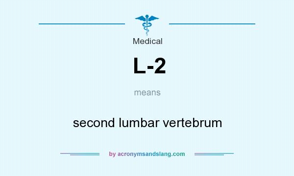 What does L-2 mean? It stands for second lumbar vertebrum