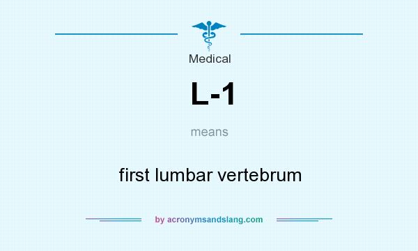 What does L-1 mean? It stands for first lumbar vertebrum
