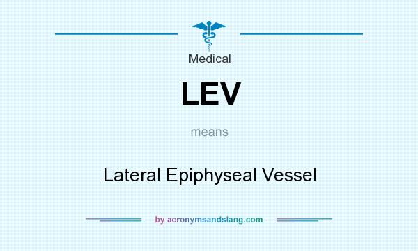 What does LEV mean? It stands for Lateral Epiphyseal Vessel