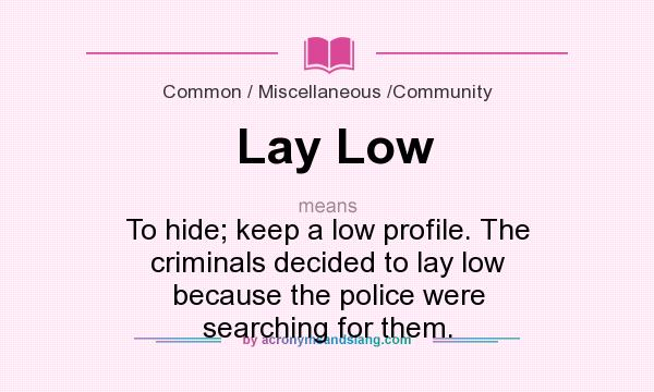 What does Lay Low mean? It stands for To hide; keep a low profile. The criminals decided to lay low because the police were searching for them.