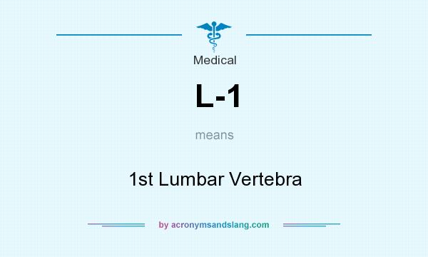 What does L-1 mean? It stands for 1st Lumbar Vertebra