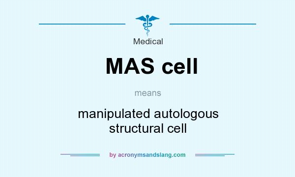 What does MAS cell mean? It stands for manipulated autologous structural cell