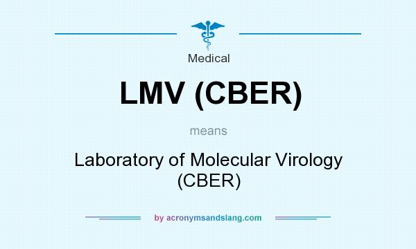 What does LMV (CBER) mean? It stands for Laboratory of Molecular Virology (CBER)