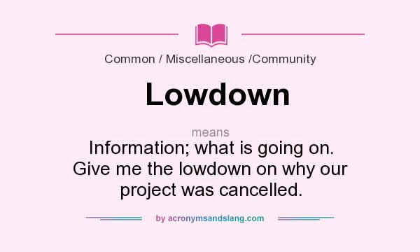 What does Lowdown mean? It stands for Information; what is going on. Give me the lowdown on why our project was cancelled.
