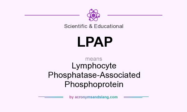 What does LPAP mean? It stands for Lymphocyte Phosphatase-Associated Phosphoprotein