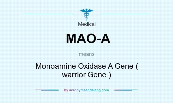 What does MAO-A mean? It stands for Monoamine Oxidase A Gene ( warrior Gene )