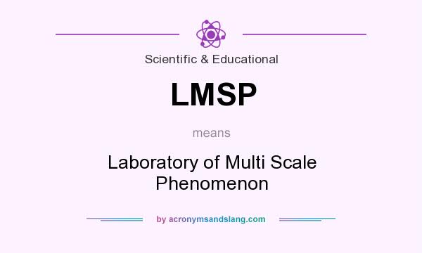 What does LMSP mean? It stands for Laboratory of Multi Scale Phenomenon