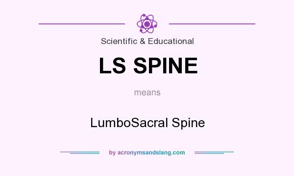 What does LS SPINE mean? It stands for LumboSacral Spine