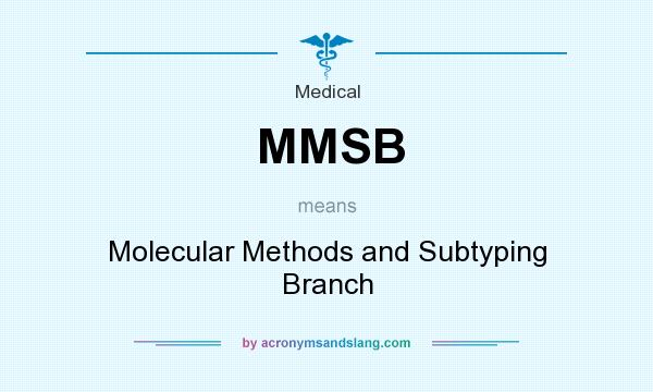 What does MMSB mean? It stands for Molecular Methods and Subtyping Branch