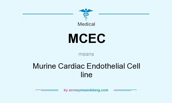 What does MCEC mean? It stands for Murine Cardiac Endothelial Cell line