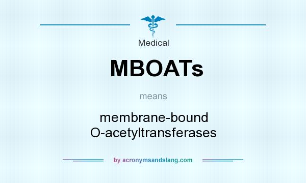 What does MBOATs mean? It stands for membrane-bound O-acetyltransferases