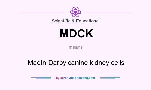 What does MDCK mean? It stands for Madin-Darby canine kidney cells