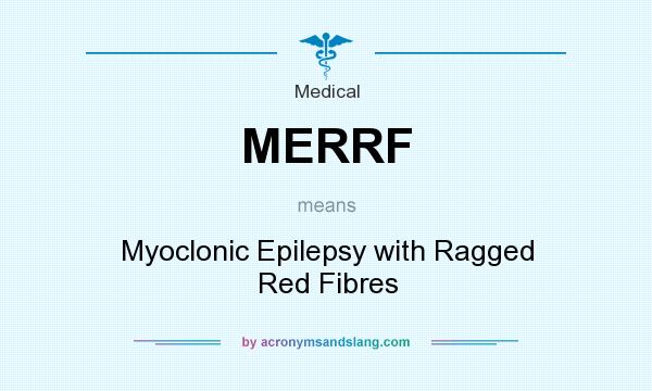 What does MERRF mean? It stands for Myoclonic Epilepsy with Ragged Red Fibres