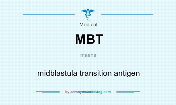 What does MBT mean? It stands for midblastula transition antigen