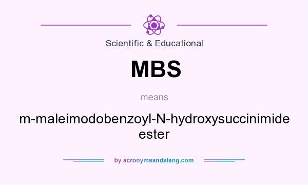 What does MBS mean? It stands for m-maleimodobenzoyl-N-hydroxysuccinimide ester