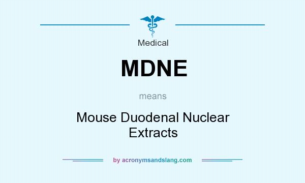 What does MDNE mean? It stands for Mouse Duodenal Nuclear Extracts