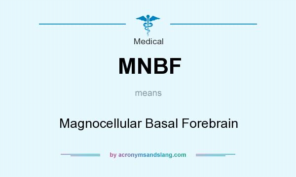 What does MNBF mean? It stands for Magnocellular Basal Forebrain
