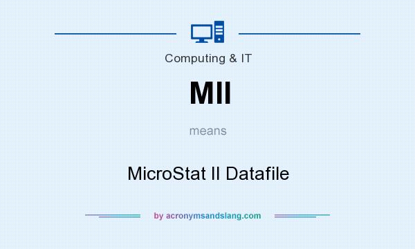 What does MII mean? It stands for MicroStat II Datafile