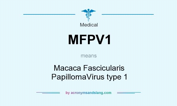 What does MFPV1 mean? It stands for Macaca Fascicularis PapillomaVirus type 1