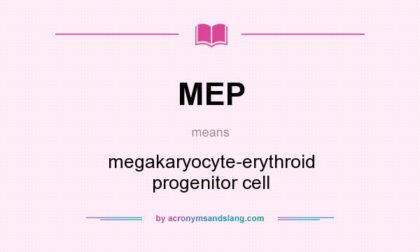 What does MEP mean? It stands for megakaryocyte-erythroid progenitor cell