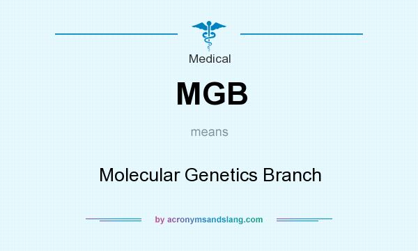 What does MGB mean? It stands for Molecular Genetics Branch
