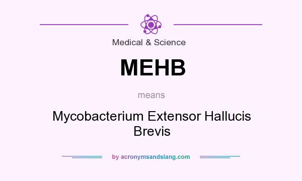 What does MEHB mean? It stands for Mycobacterium Extensor Hallucis Brevis