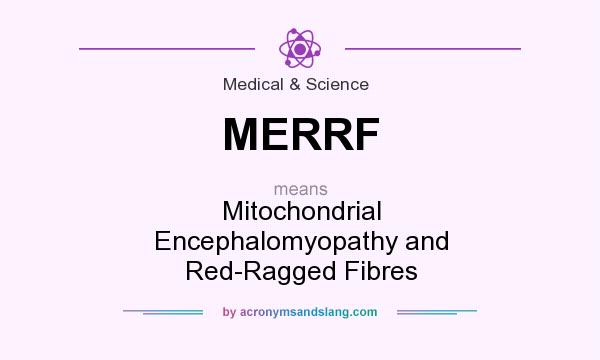 What does MERRF mean? It stands for Mitochondrial Encephalomyopathy and Red-Ragged Fibres