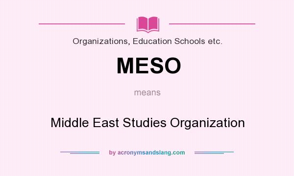What does MESO mean? It stands for Middle East Studies Organization