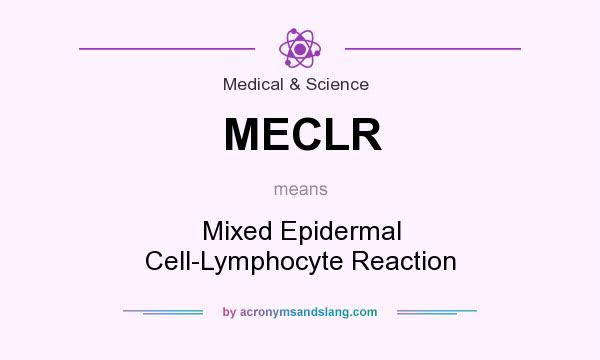 What does MECLR mean? It stands for Mixed Epidermal Cell-Lymphocyte Reaction
