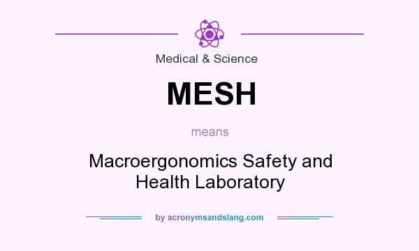 What does MESH mean? It stands for Macroergonomics Safety and Health Laboratory
