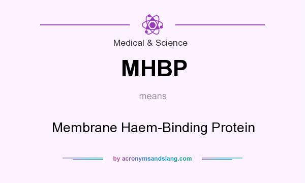 What does MHBP mean? It stands for Membrane Haem-Binding Protein