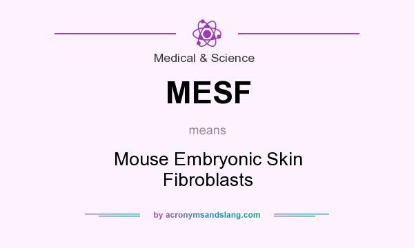 What does MESF mean? It stands for Mouse Embryonic Skin Fibroblasts