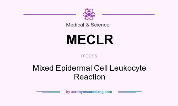 What does MECLR mean? It stands for Mixed Epidermal Cell Leukocyte Reaction