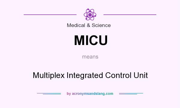 What does MICU mean? It stands for Multiplex Integrated Control Unit