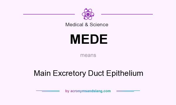 What does MEDE mean? It stands for Main Excretory Duct Epithelium