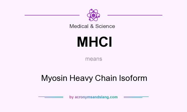 What does MHCI mean? It stands for Myosin Heavy Chain Isoform