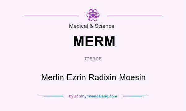 What does MERM mean? It stands for Merlin-Ezrin-Radixin-Moesin