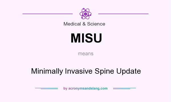 What does MISU mean? It stands for Minimally Invasive Spine Update