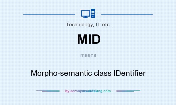 What does MID mean? It stands for Morpho-semantic class IDentifier