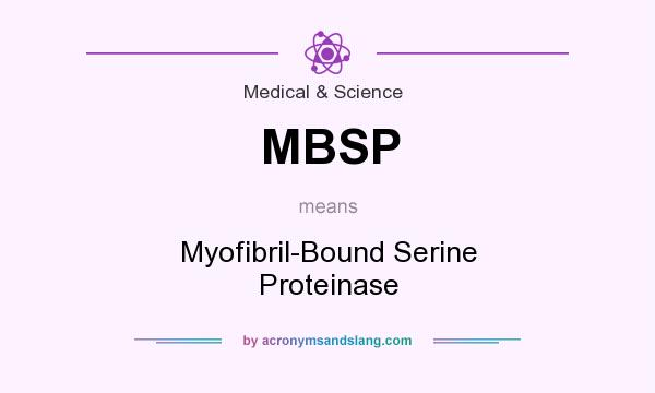 What does MBSP mean? It stands for Myofibril-Bound Serine Proteinase