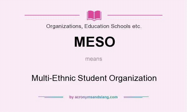 What does MESO mean? It stands for Multi-Ethnic Student Organization