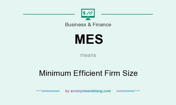 What does MES mean? It stands for Minimum Efficient Firm Size