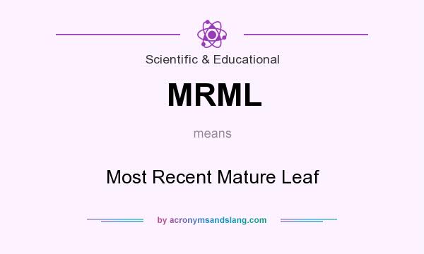 What does MRML mean? It stands for Most Recent Mature Leaf