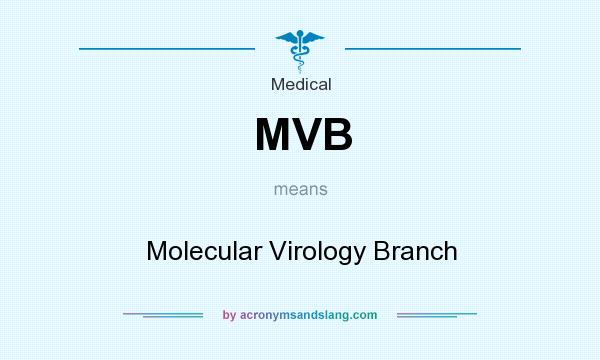 What does MVB mean? It stands for Molecular Virology Branch