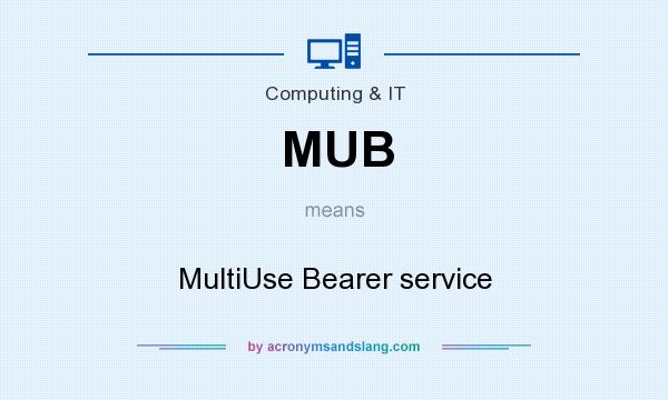 What does MUB mean? It stands for MultiUse Bearer service